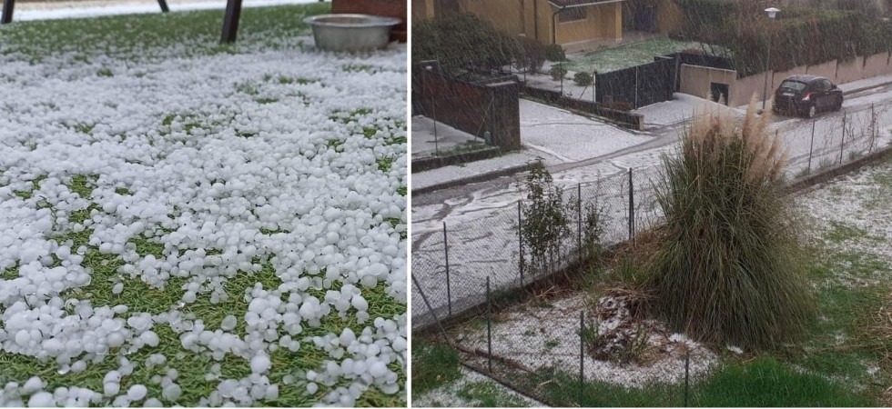 Foto Meteo Bassano e Pedemontana del Grappa - Federica Bonato da Possagno e Paolo Giotto da Colbertaldo Maltempo, la grandine imbianca strade e campagne: bufera sul Grappa, temperature in calo e danni agli alberi da frutto